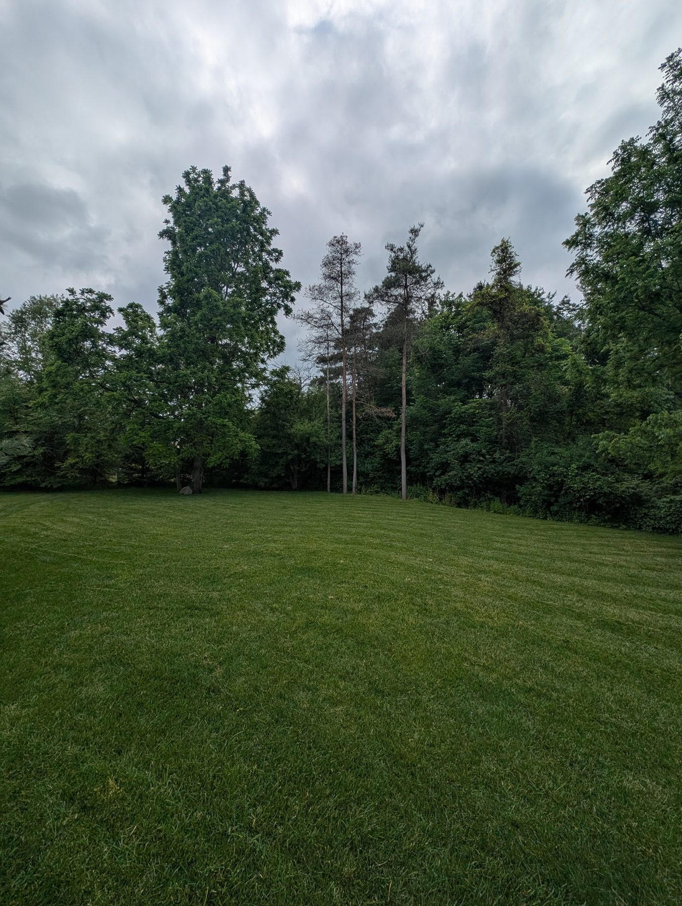Freshly mowed lawn with crisp striping pattern